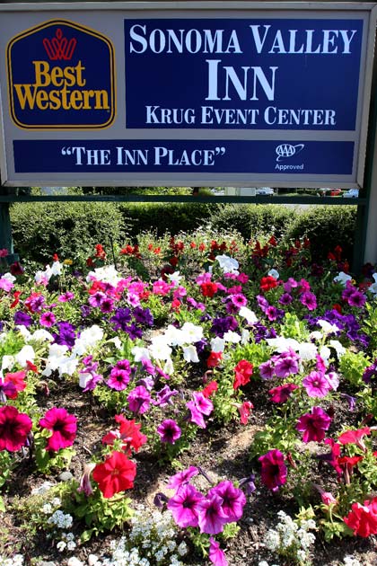 060509_businessenergy_8314