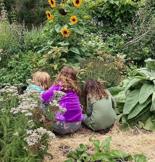 Thanks for School Gardens  