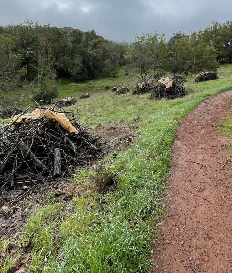 Sonoma Ecology Center Receives $200,000 Grant in Fire Risk Funding from County