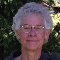 Praxis on Zoom: Citizen Diplomacy and the Transformation of Power