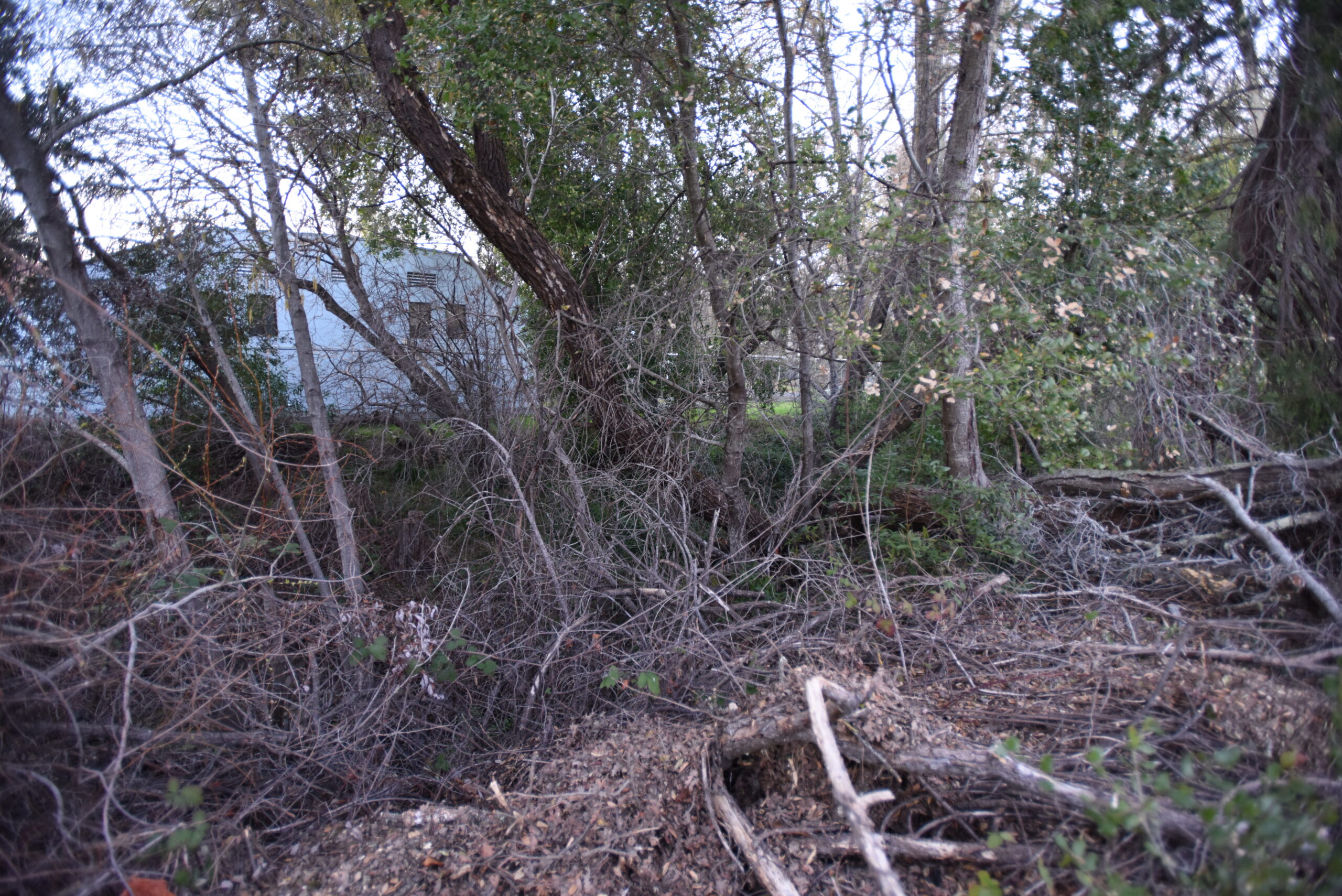 Is the Fire Next Time Waiting to Happen?