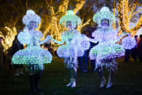 Lighting of the Plaza November 21, 5p.m.